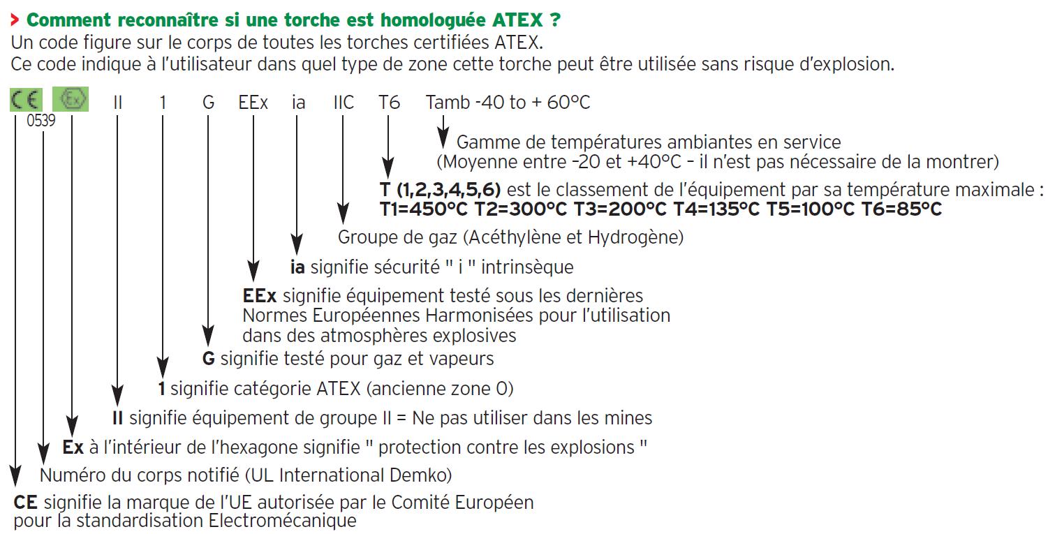 Atex Code Reading Example Zone ATEX - Haladjian Industrial Solutions